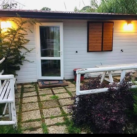 Oasi Di Francesca B&B Pontinia Bagian luar foto