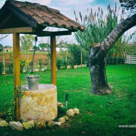 Oasi Di Francesca B&B Pontinia Bagian luar foto