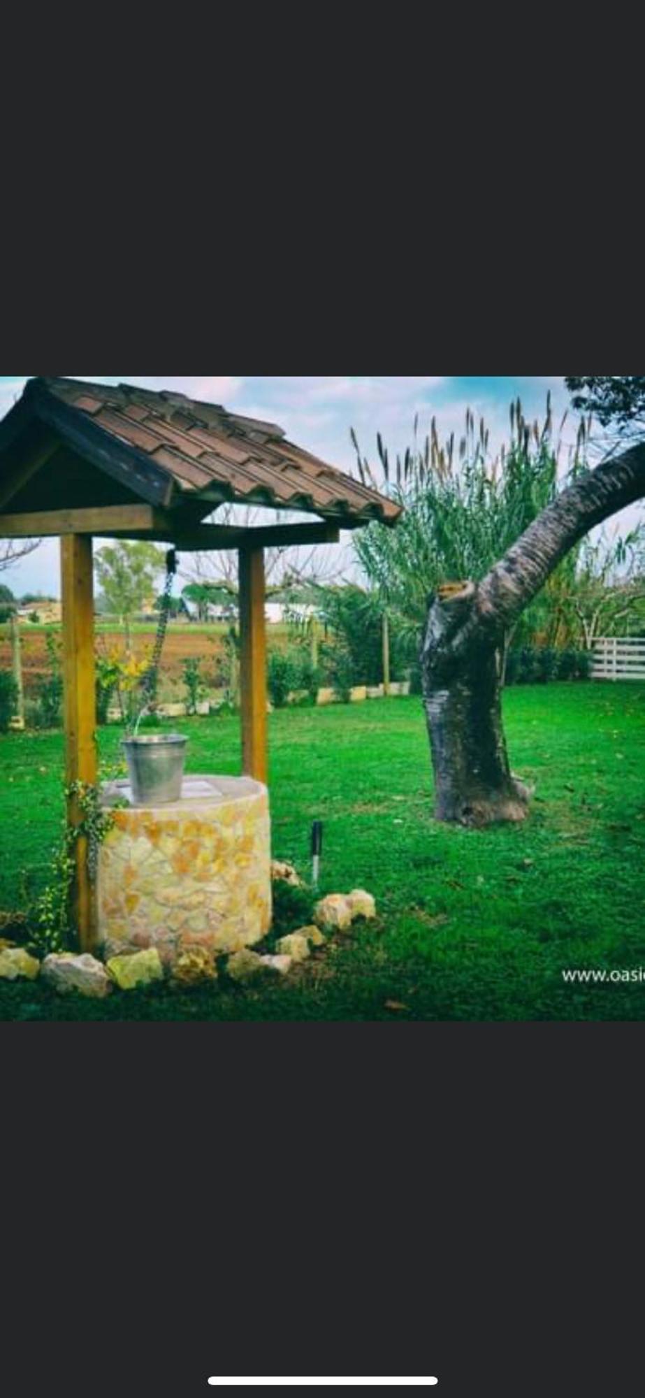 Oasi Di Francesca B&B Pontinia Bagian luar foto