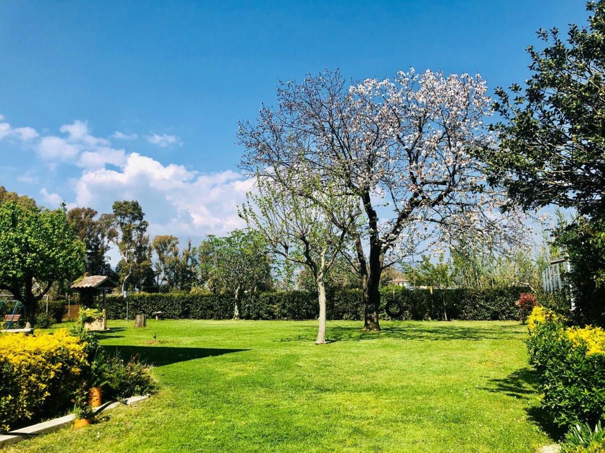 Oasi Di Francesca B&B Pontinia Bagian luar foto